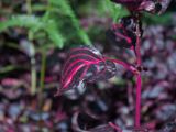 20120812 IMG 6159