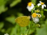 20120812 IMG 6170