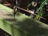 20120812 IMG 6183