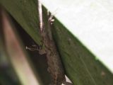 20120812 IMG 6186
