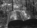 20120812 IMG 6190