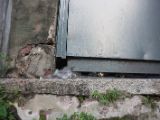 20120814-IMG 6446