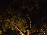 20120814-IMG 6489