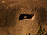 20120814-IMG 6522