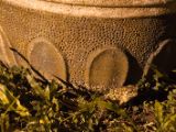 20120814-IMG 6525