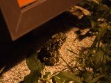20120814-IMG 6533
