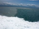 20120818-IMG 6731