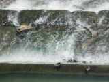 20120819-IMG 6771