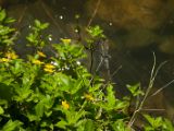 20120820-IMG 6869