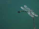 20120820-IMG 6875