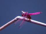 20120820-IMG 6880