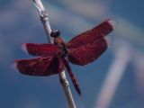20120820-IMG 6881
