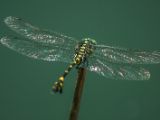 20120820-IMG 6882