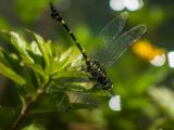 20120820-IMG 6883