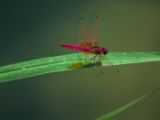 20120820-IMG 6886