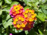 20120820-IMG 6928