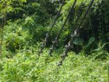 20120820-IMG 6960