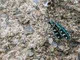 20120820-IMG 6972