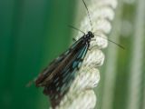 20120820-IMG 6981
