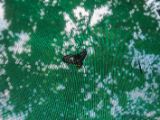 20120820-IMG 6982