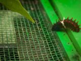 20120820-IMG 6988