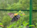 20120820-IMG 6992