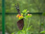 20120820-IMG 6996