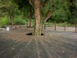 20120820-IMG 7029