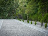 20120820-IMG 7096