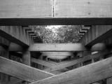 20120820-IMG 7107