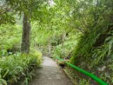 20120820-IMG 7135
