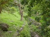 20120820-IMG 7140