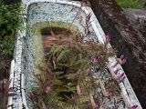 20120820-IMG 7149
