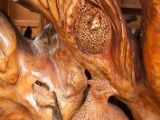 20120820-IMG 7187