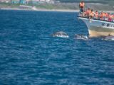20120821-IMG 7268