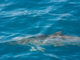 20120821-IMG 7271