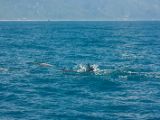 20120821-IMG 7273