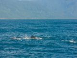 20120821-IMG 7274