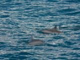 20120821-IMG 7283