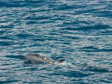 20120821-IMG 7285