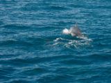 20120821-IMG 7290