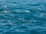 20120821-IMG 7292