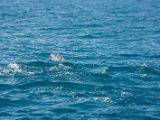 20120821-IMG 7293