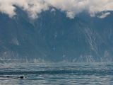 20120821-IMG 7298