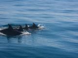 20120821-IMG 7307