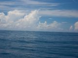 20120821-IMG 7320