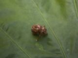 20120821-IMG 7391