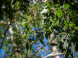 20120821-IMG 7418