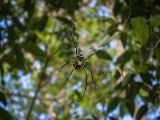20120821-IMG 7419