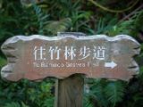 20120821-IMG 7420